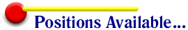 primaries2.GIF